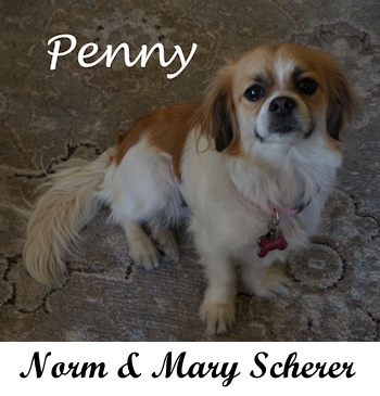 Penny