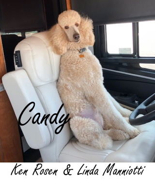 Candy