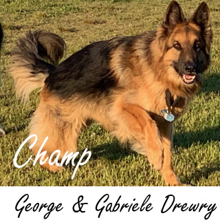 Champ