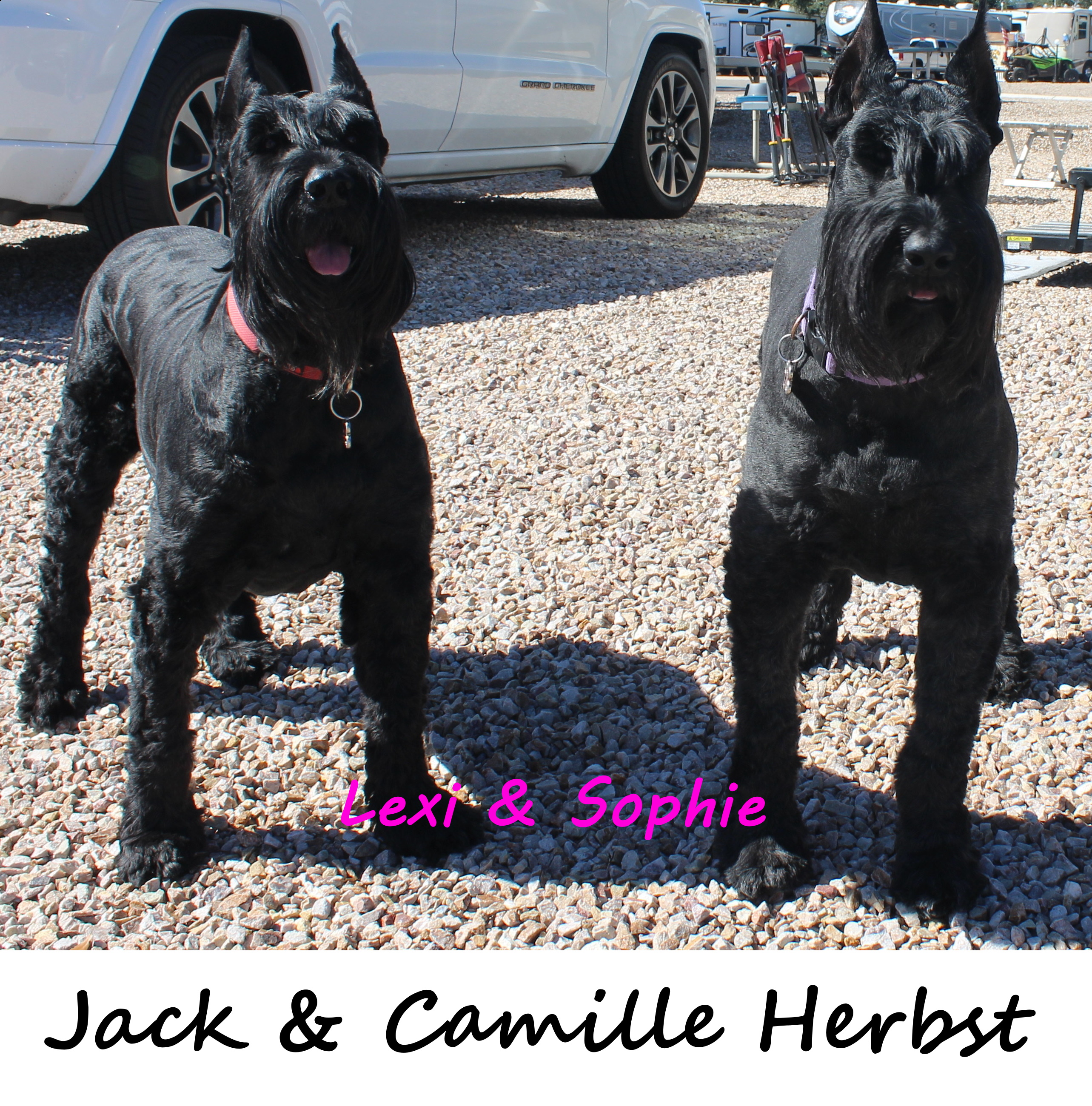 Lexi & Sophie