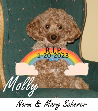 Molly