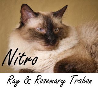 Nitro