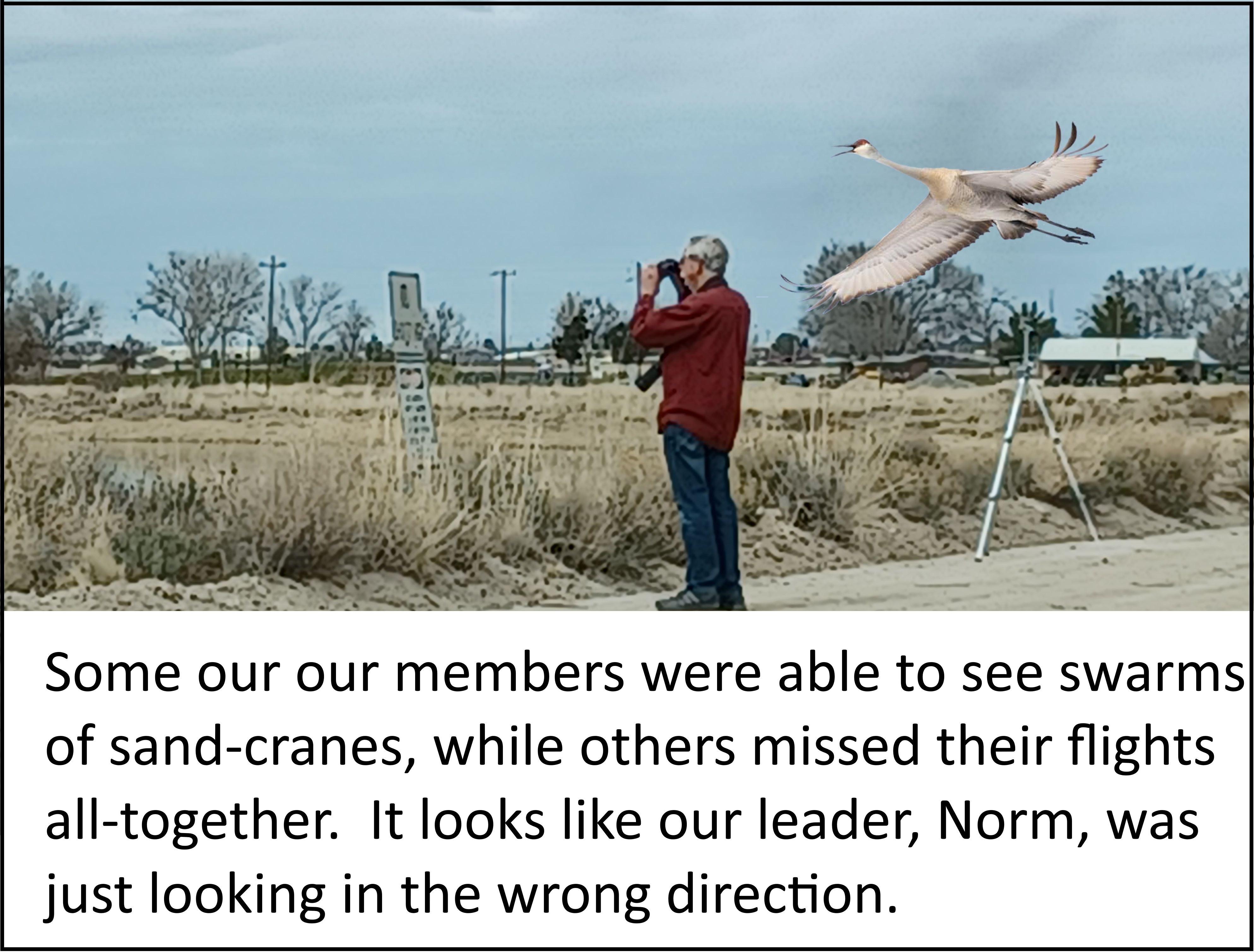 Norm looking for cranes