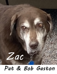 Zac